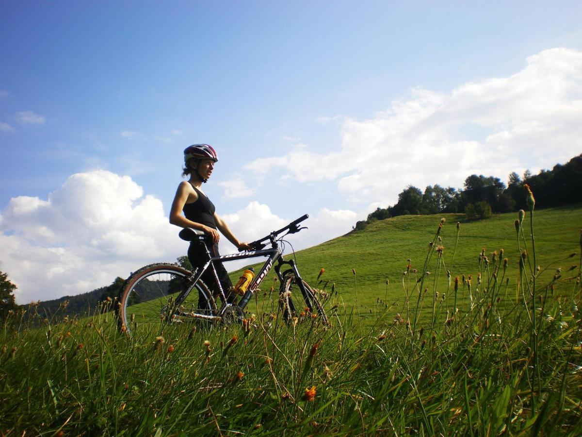 Wanderhotel Sonnebergbaude Waltersdorf  Zewnętrze zdjęcie